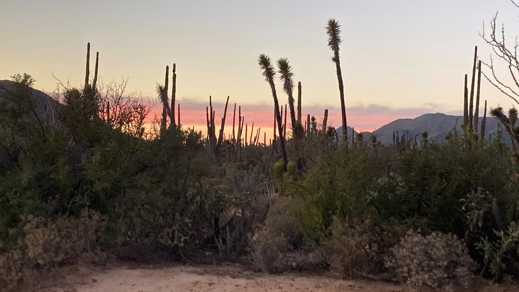 Baja California …. wishing you were&nbsp;here