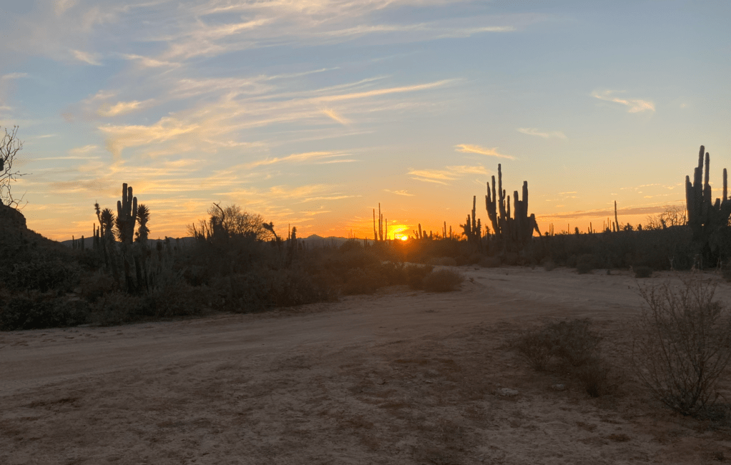 Going Abajo to the&nbsp;Baja