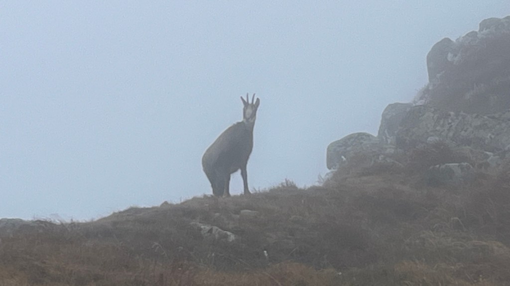 Poland 2024 Part 2 – Getting&nbsp;Soaked