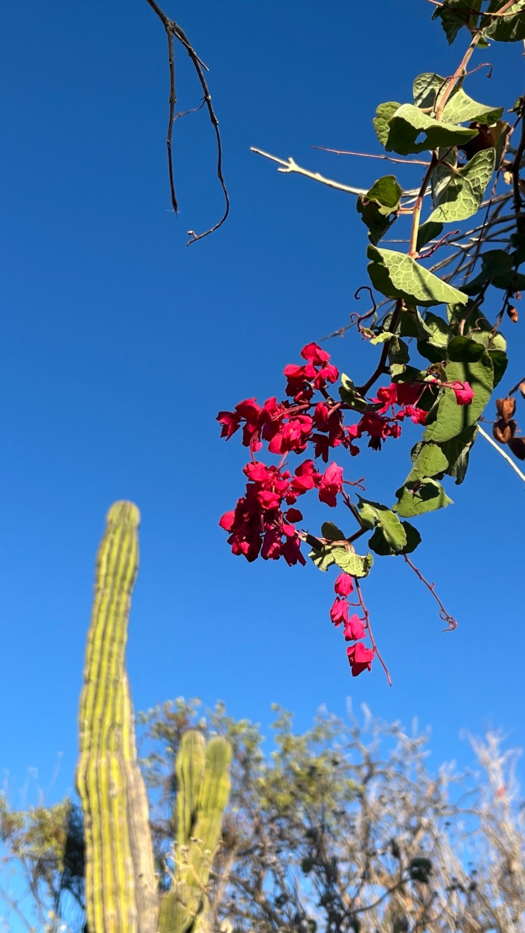 Baja 2024 Part 4 – San Evaristo to Los&nbsp;Barilles