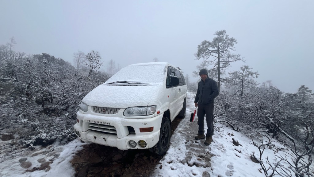 25/26 Mexico Week 5 (Jan 12– 15) – Tales from Pine&nbsp;Forests