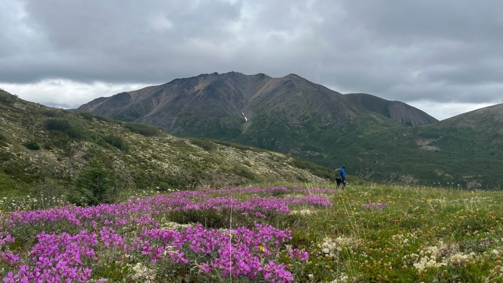 TR: 2026-07-24 – Peak 2120 – Yukon (Tungsten&nbsp;Area)